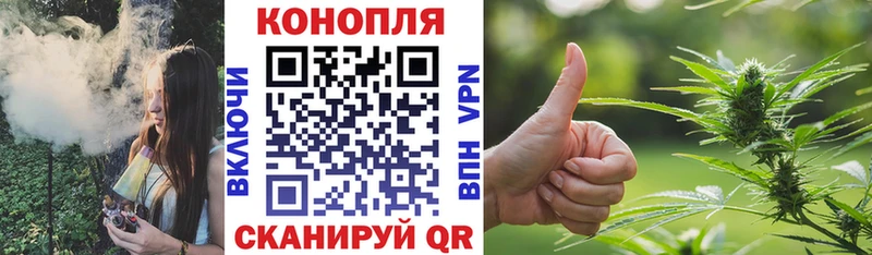 Каннабис OG Kush  наркошоп  Сургут 